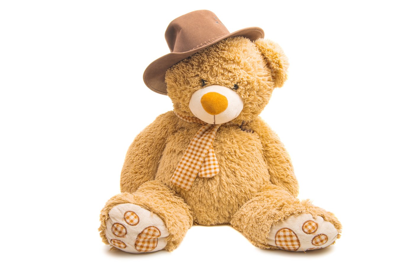 soft toy bear isolated